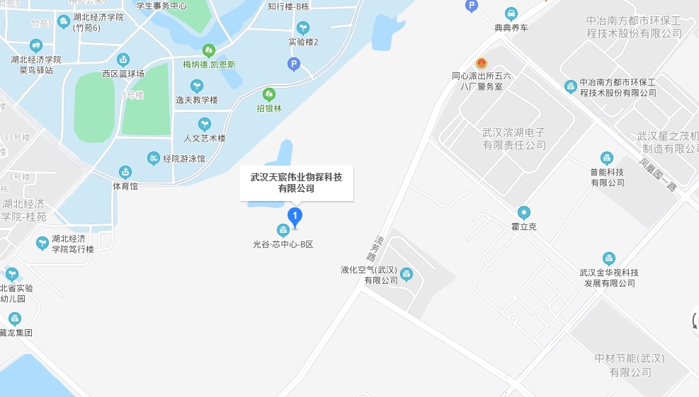 内部资料精准10码